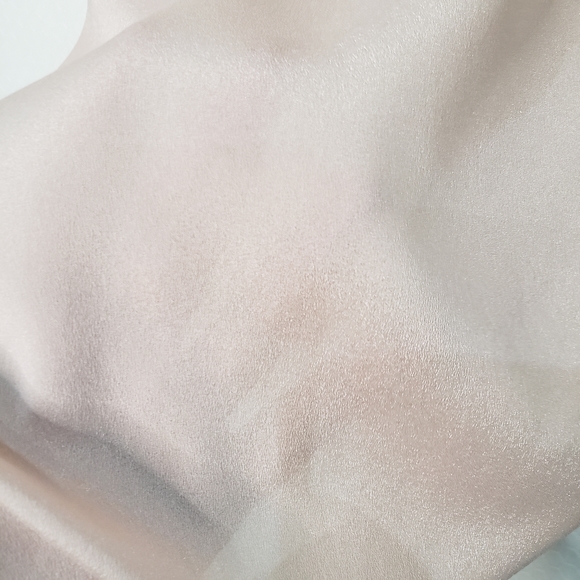 Talbots Silk Semi Sheer Tank Top Suit Shell Cami - Picture 3 of 8